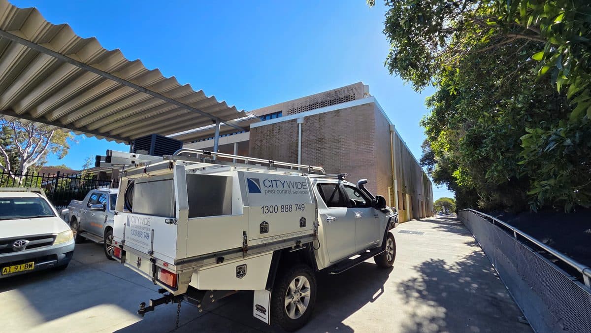 The CITY WIDE service van
